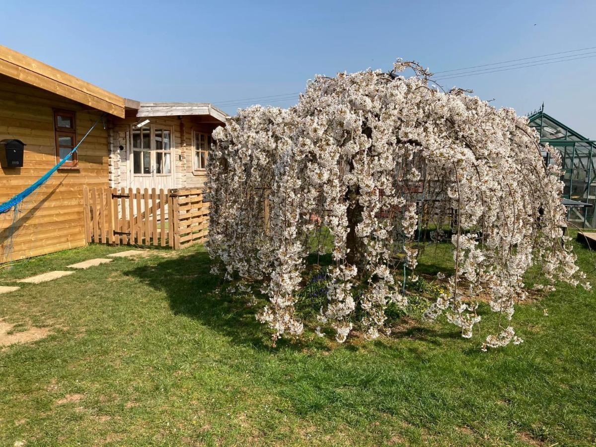 The Retreat Hotel Hornblotton Kültér fotó